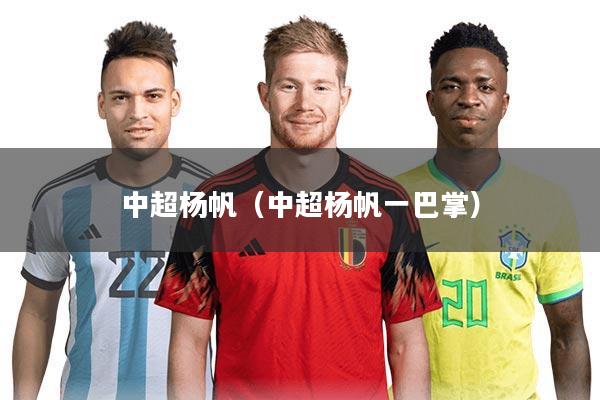中超杨帆（中超杨帆一巴掌）