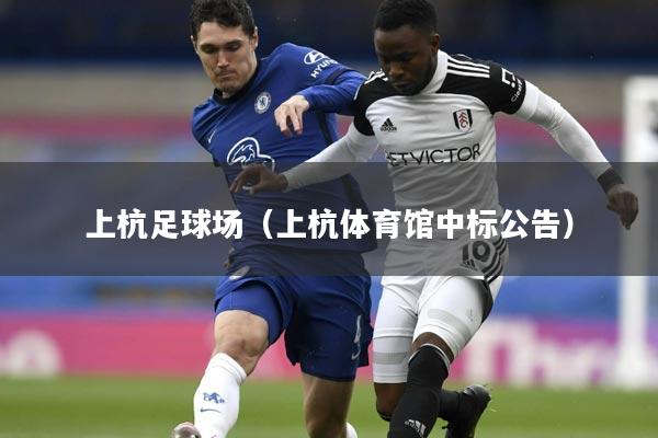 上杭足球场（上杭体育馆中标公告）