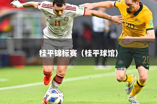 桂平锦标赛(桂平球馆)