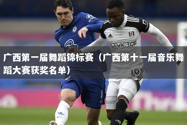 广西第一届舞蹈锦标赛（广西第十一届音乐舞蹈大赛获奖名单）