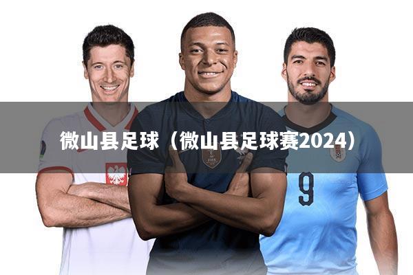 微山县足球(微山县足球赛2024)