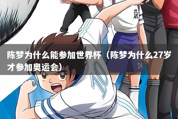 陈梦为什么能参加世界杯(陈梦为什么27岁才参加奥运会)