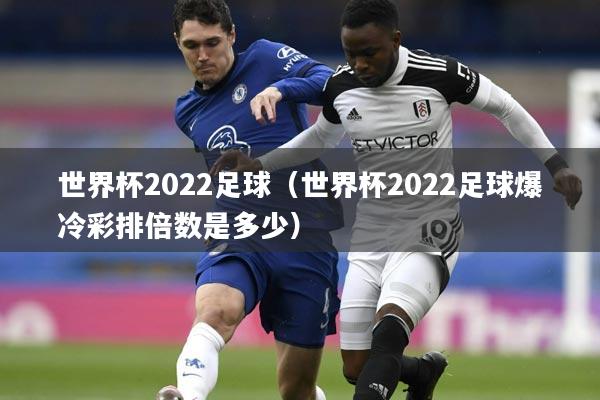世界杯2022足球（世界杯2022足球爆冷彩排倍数是多少）