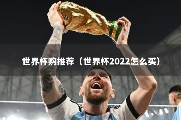 世界杯购推荐（世界杯2022怎么买）