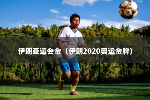 伊朗亚运会金（伊朗2020奥运金牌）