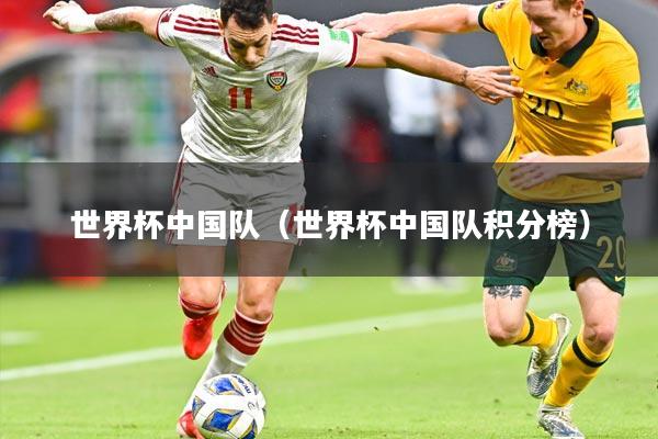 世界杯中国队(世界杯中国队积分榜)