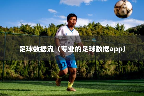 足球数据流（专业的足球数据app）