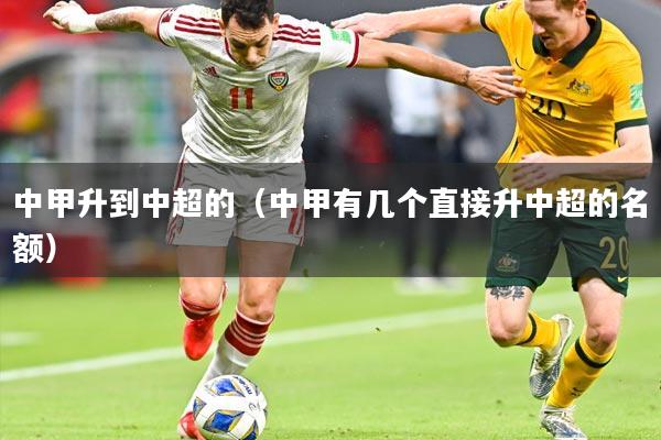 中甲升到中超的（中甲有几个直接升中超的名额）
