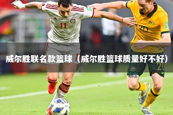 威尔胜联名款篮球(威尔胜篮球质量好不好)