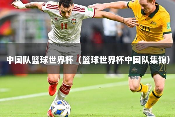 中国队篮球世界杯（篮球世界杯中国队集锦）