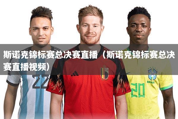 斯诺克锦标赛总决赛直播（斯诺克锦标赛总决赛直播视频）
