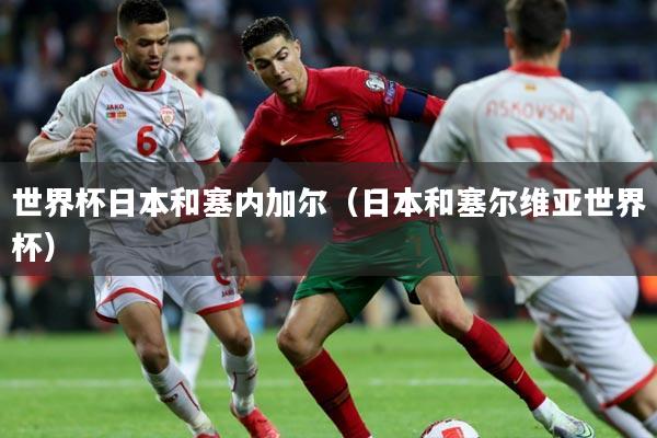 世界杯日本和塞内加尔(日本和塞尔维亚世界杯)