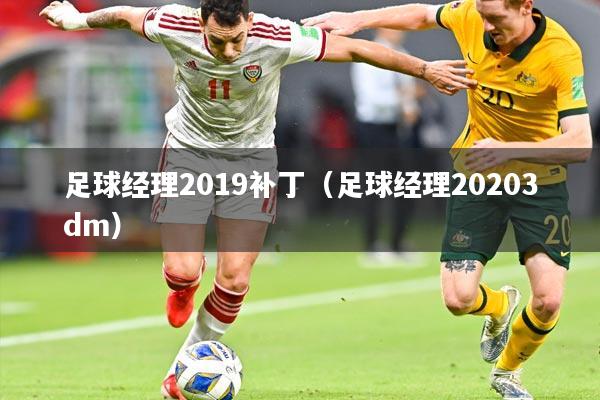 足球经理2019补丁（足球经理20203dm）