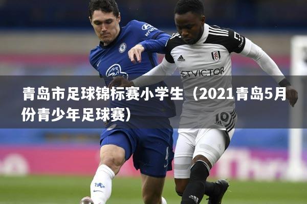 青岛市足球锦标赛小学生（2021青岛5月份青少年足球赛）