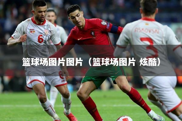 篮球场图片图片（篮球场图片 炫酷）