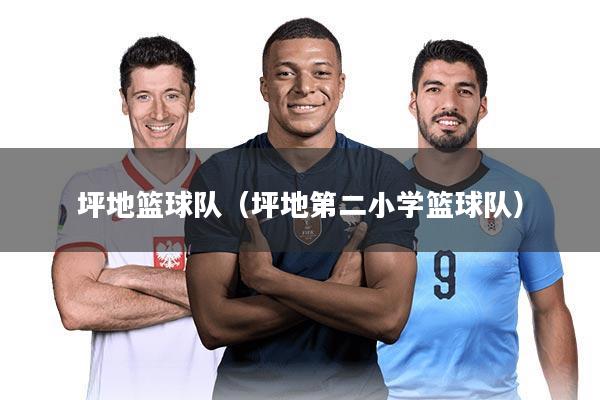 坪地篮球队（坪地第二小学篮球队）