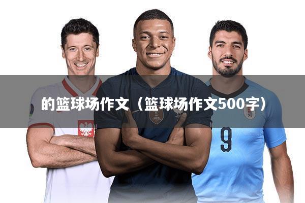 的篮球场作文(篮球场作文500字)