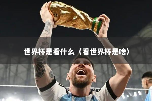 世界杯是看什么（看世界杯是啥）
