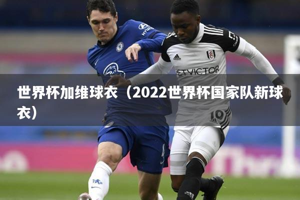 世界杯加维球衣（2022世界杯国家队新球衣）