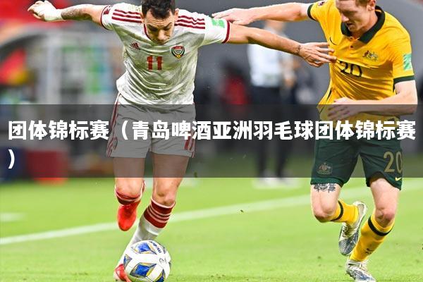 团体锦标赛（青岛啤酒亚洲羽毛球团体锦标赛）