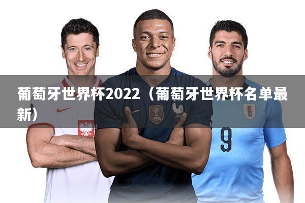 葡萄牙世界杯2022（葡萄牙世界杯名单最新）