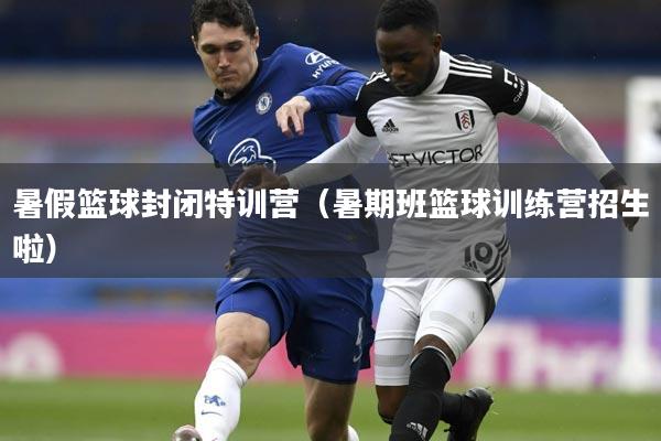 暑假篮球封闭特训营（暑期班篮球训练营招生啦）