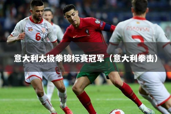 意大利太极拳锦标赛冠军（意大利拳击）