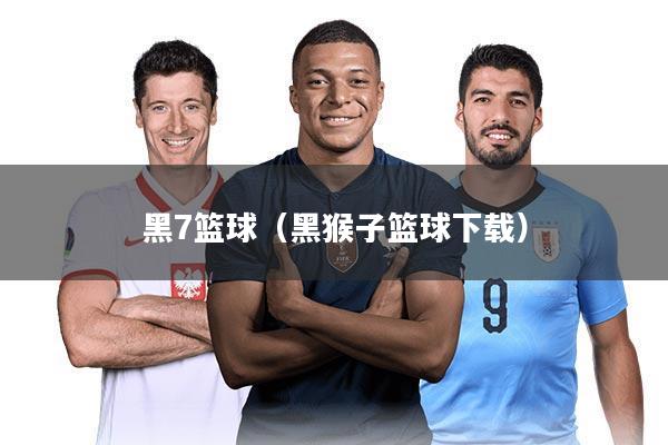 黑7篮球（黑猴子篮球下载）