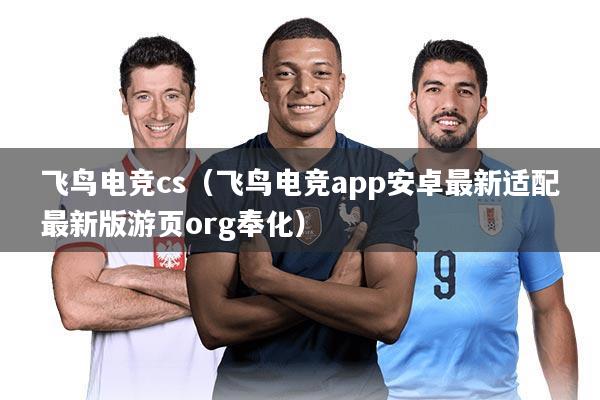 飞鸟电竞cs(飞鸟电竞app安卓最新适配最新版游页org奉化)