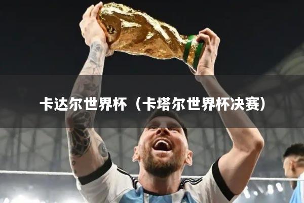 卡达尔世界杯(卡塔尔世界杯决赛)